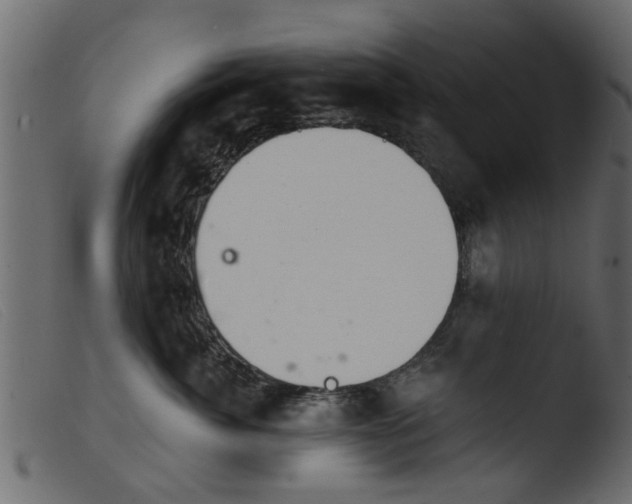 X0000103960764200810101244