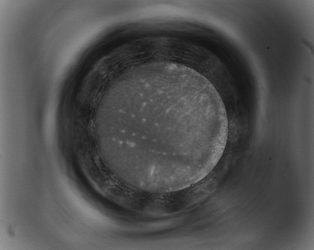 X0000103960765200810101244