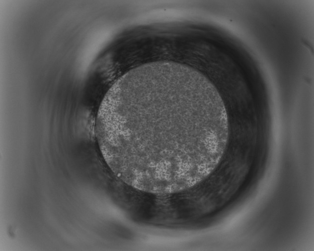 X0000103960766200810101244