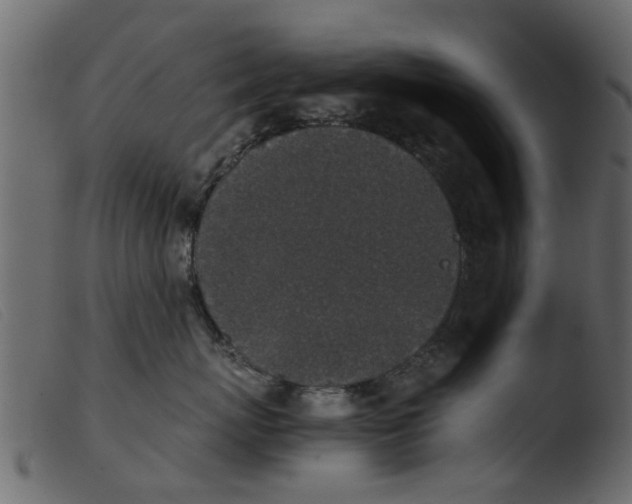 X0000103960767200810101244