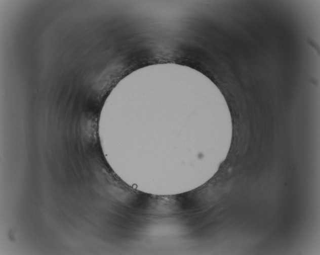 X0000103960768200810101244