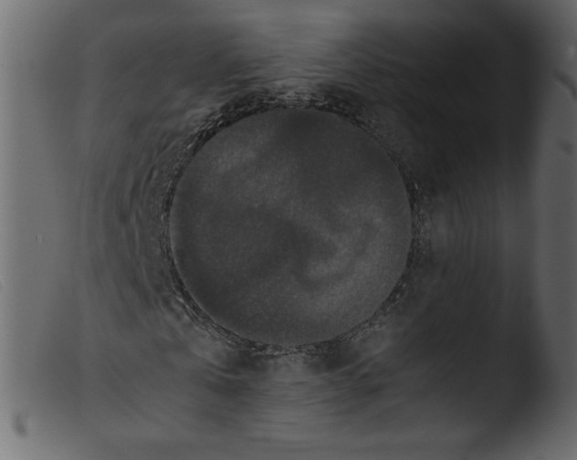 X0000103960769200810101244