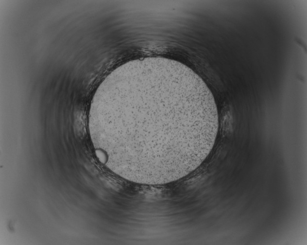 X0000103960772200810101244