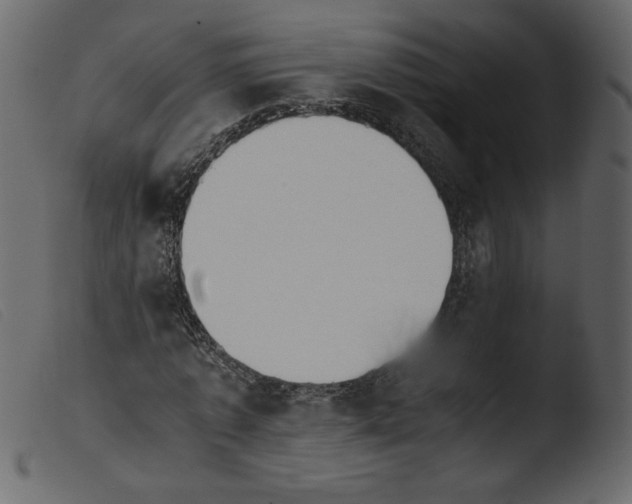 X0000103960773200810101243