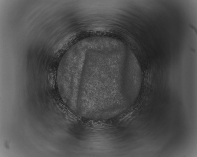 X0000103960774200810101243