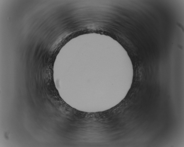 X0000103960776200810101243