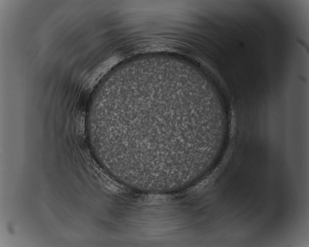 X0000103960777200810101243