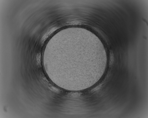 X0000103960778200810101243