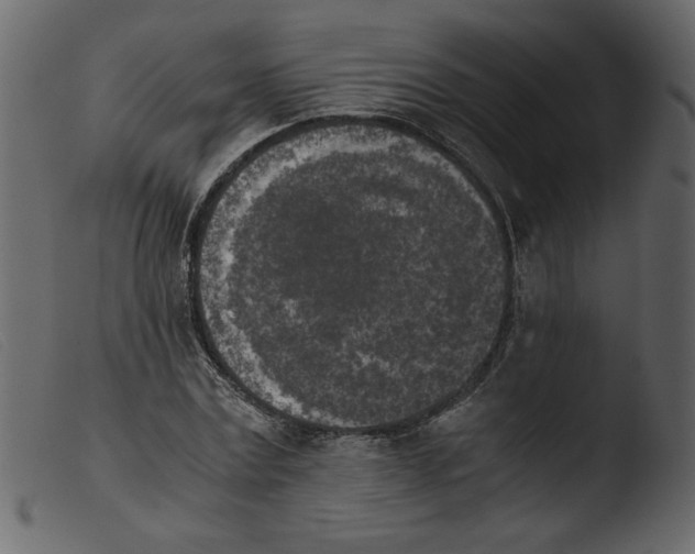 X0000103960779200810101243