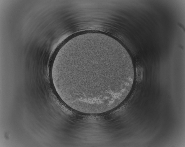 X0000103960780200810101243