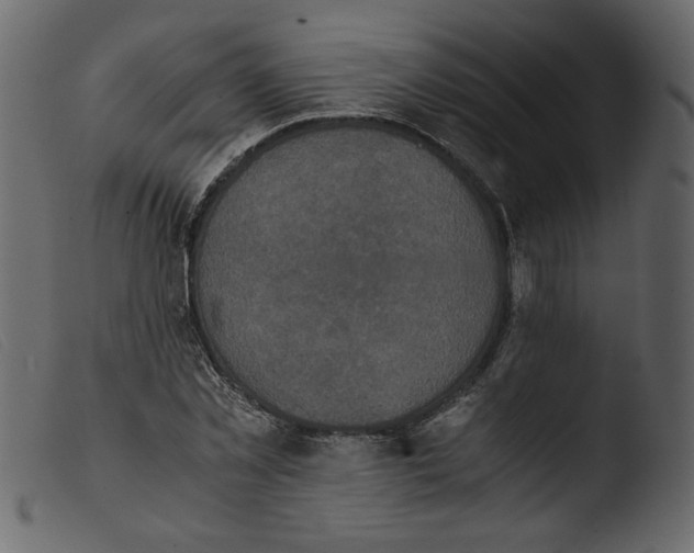 X0000103960781200810101243