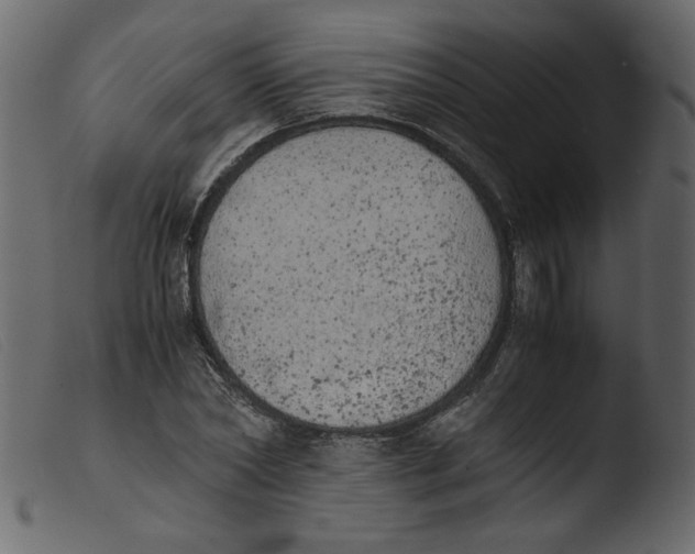 X0000103960782200810101243