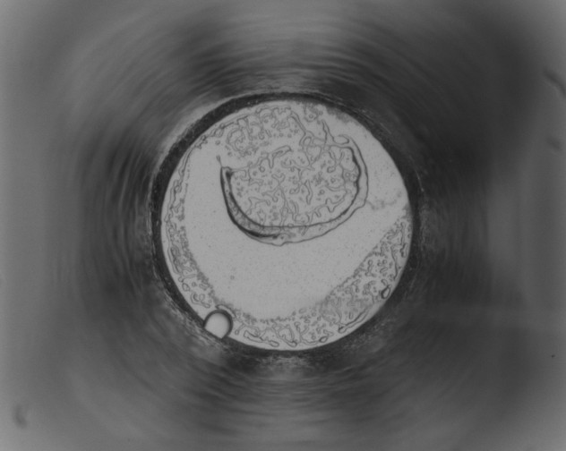 X0000103960784200810101243