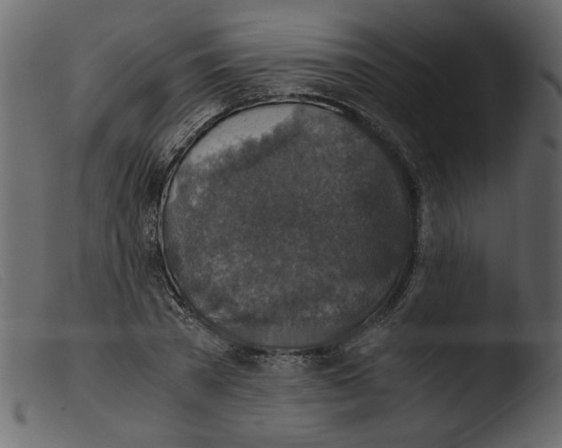 X0000103960785200810101243