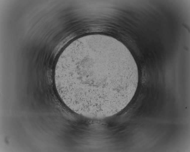 X0000103960786200810101243