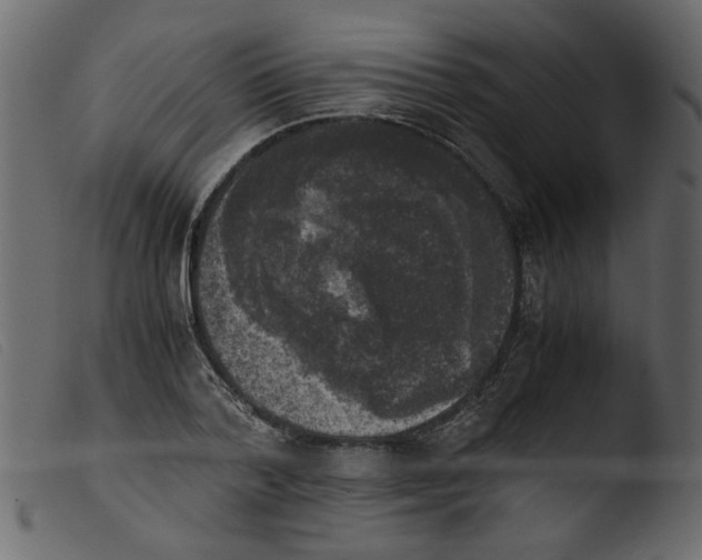 X0000103960788200810101243