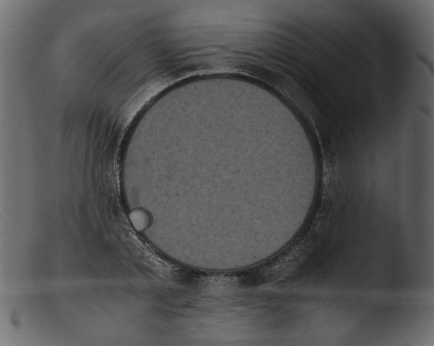 X0000103960789200810101243