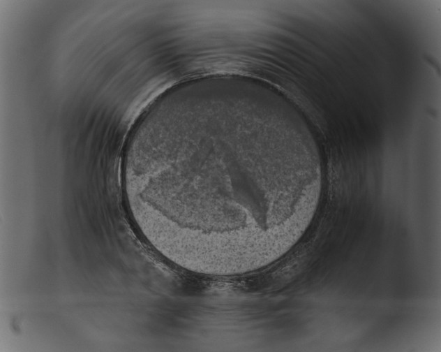 X0000103960790200810101243