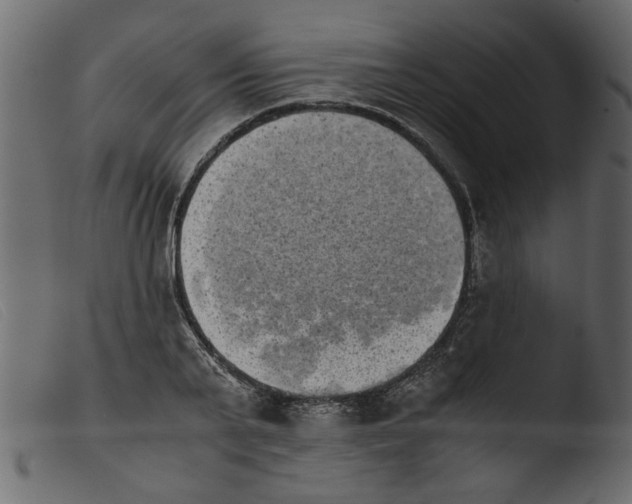 X0000103960791200810101243