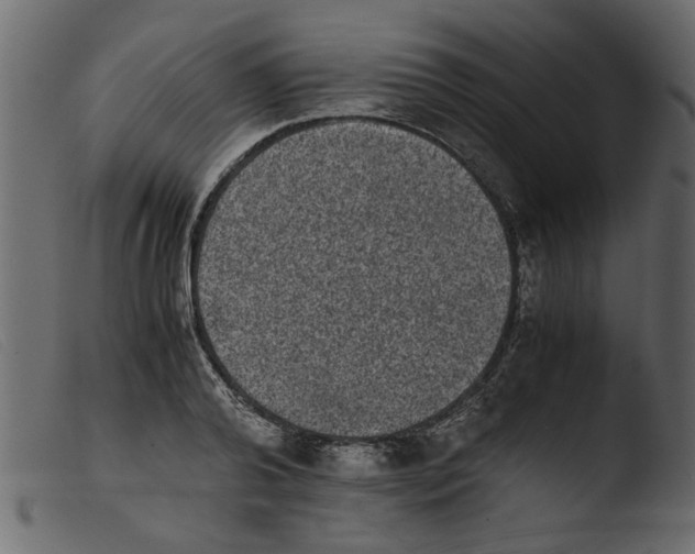 X0000103960792200810101243