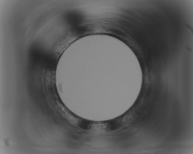 X0000103960793200810101243