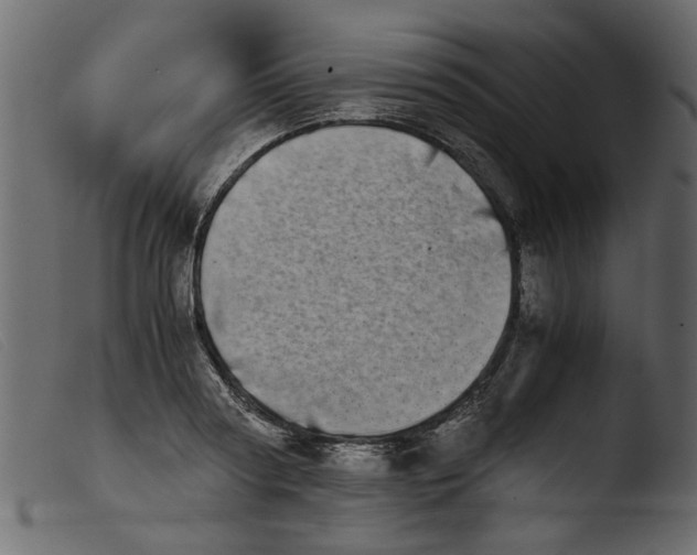 X0000103960794200810101243