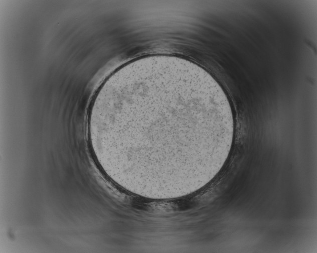 X0000103960795200810101243