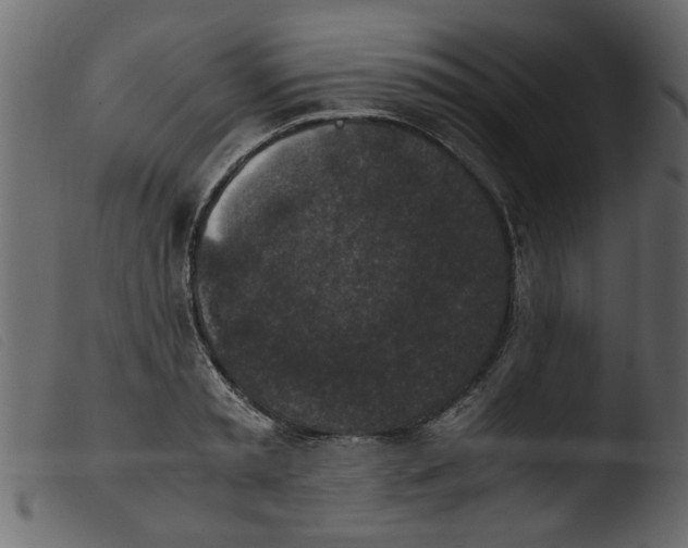 X0000103960797200810101243