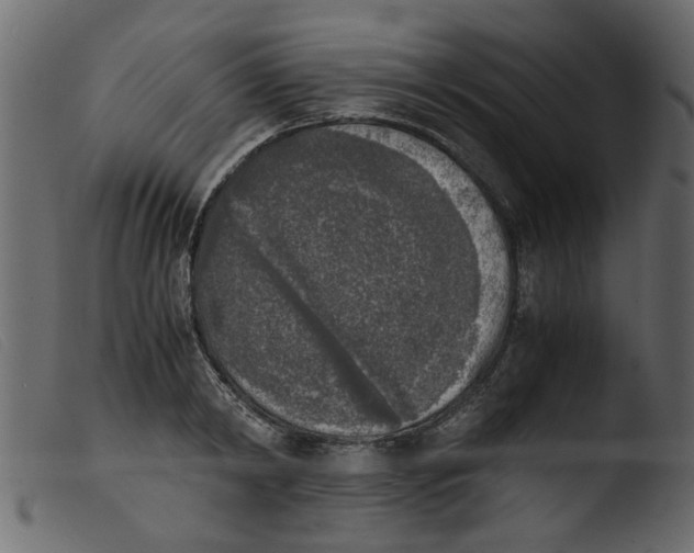 X0000103960798200810101243