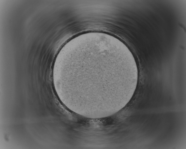 X0000103960799200810101243