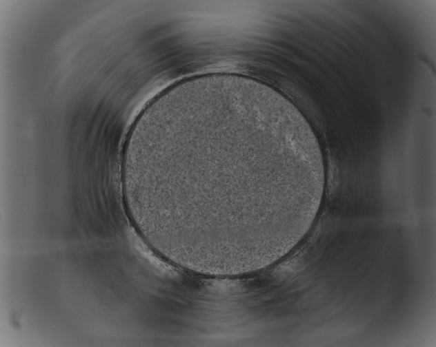 X0000103960800200810101243