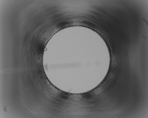 X0000103960801200810101243