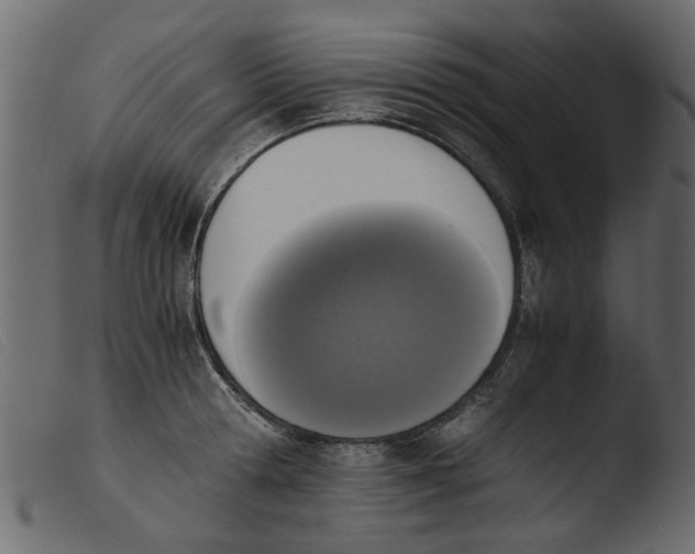 X0000103960802200810101243