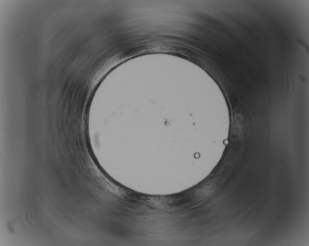 X0000103960803200810101243