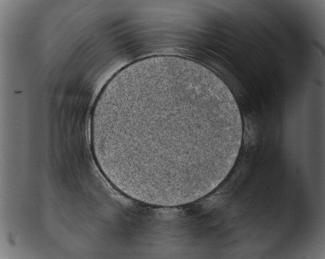 X0000103960804200810101243