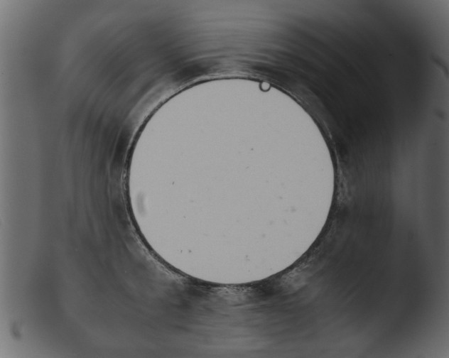 X0000103960805200810101243