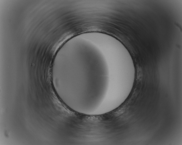 X0000103960806200810101243