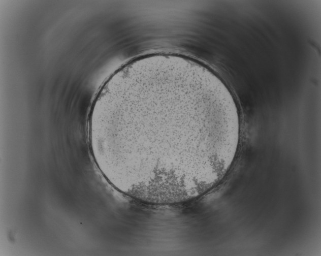 X0000103960807200810101243