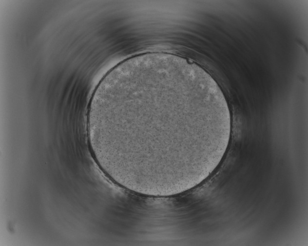 X0000103960808200810101243