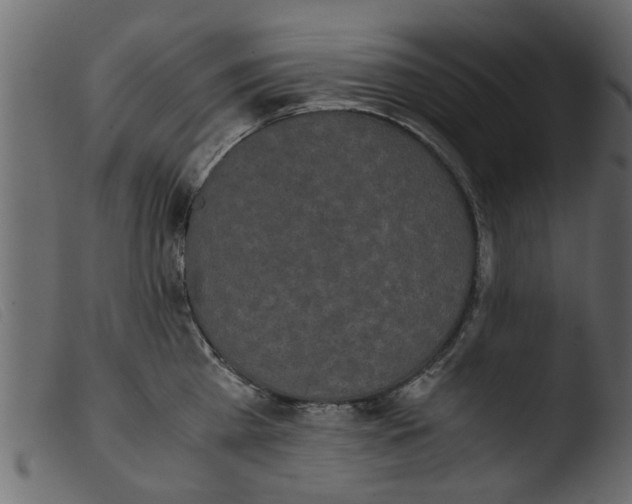 X0000103960809200810101243