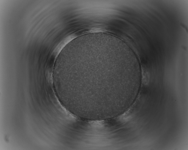 X0000103960810200810101243