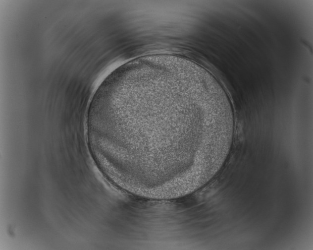 X0000103960811200810101243