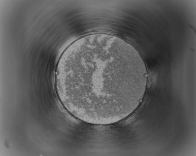 X0000103960812200810101243