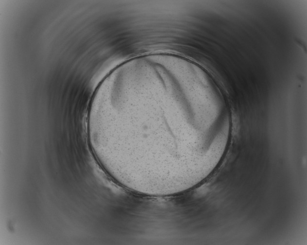 X0000103960814200810101243