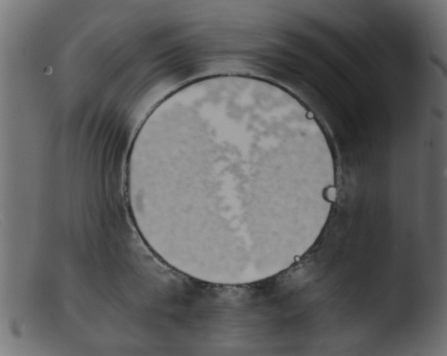 X0000103960815200810101243