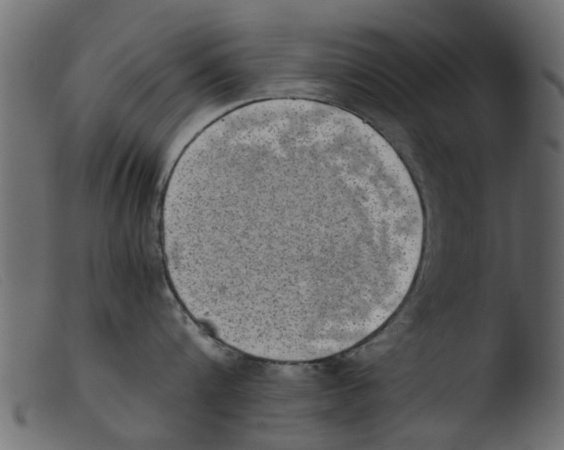 X0000103960816200810101243