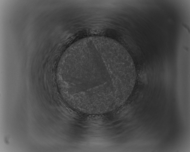 X0000103960817200810101242