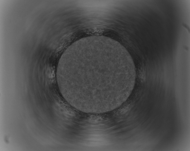 X0000103960818200810101242