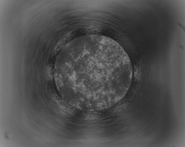 X0000103960819200810101242