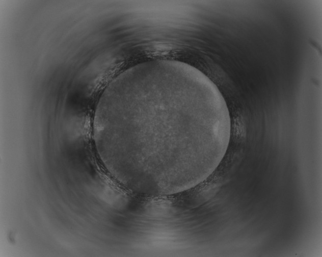 X0000103960820200810101242